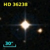 HD  36238