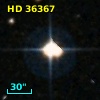 HD  36367