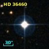 HD  36460