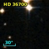 HD  36700