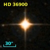 HD  36900