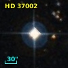 HD  37002