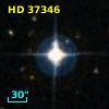 HD  37346