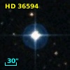 HD  36594