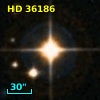 HD  36186