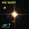 HD  36287