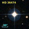 HD  36474