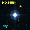 HD  36564