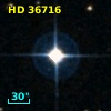 HD  36716