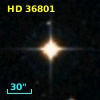 HD  36801