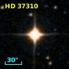 HD  37310