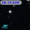 CD-24  3147