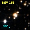 NSV   165