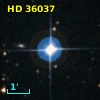 HD  36037