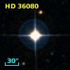 HD  36080