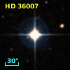 HD  36007