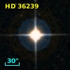 HD  36239