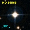 HD  36565