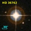 HD  36762