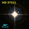 HD  37311