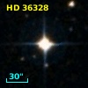 HD  36328