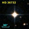 HD  36732
