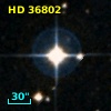HD  36802