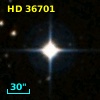 HD  36701
