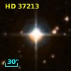 LTT  2324