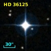 HD  36125