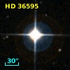 HD  36595