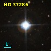 HR  1915