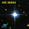HD  36942