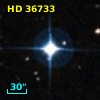 HD  36733