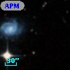 APMCC 603