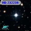 HD 232239