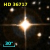HD  36717