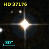 HD  37176