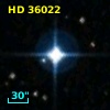 HD  36022