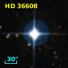 HD  36608