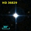 HD  36829