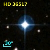 HD  36517