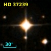 HD  37239