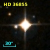 HD  36855