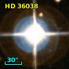 HD  36038