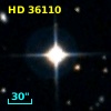 HD  36110