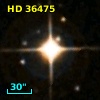 HD  36475