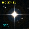 HD  37431