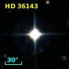 HD  36143