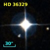 HD  36329